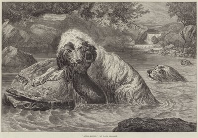 Otter-Hounds by Basil Bradley